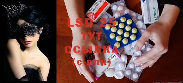 сатива Верея