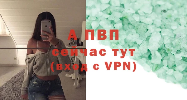 сатива Верея