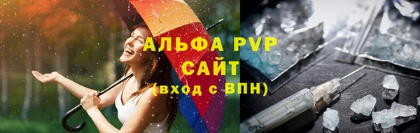 сатива Верея