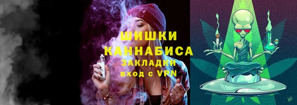 сатива Верея