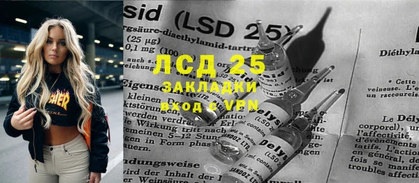 сатива Верея