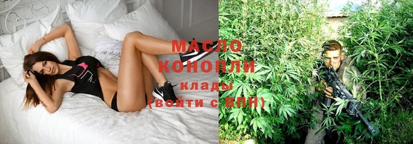 сатива Верея