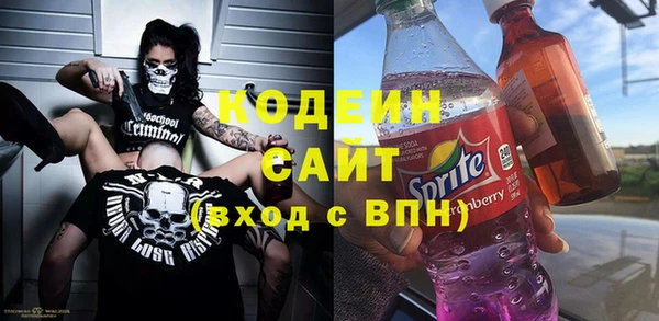 сатива Верея