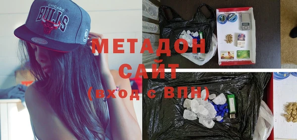 сатива Верея